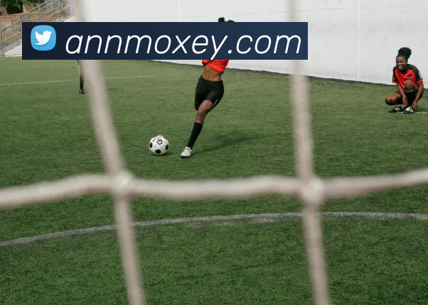 奖项证书